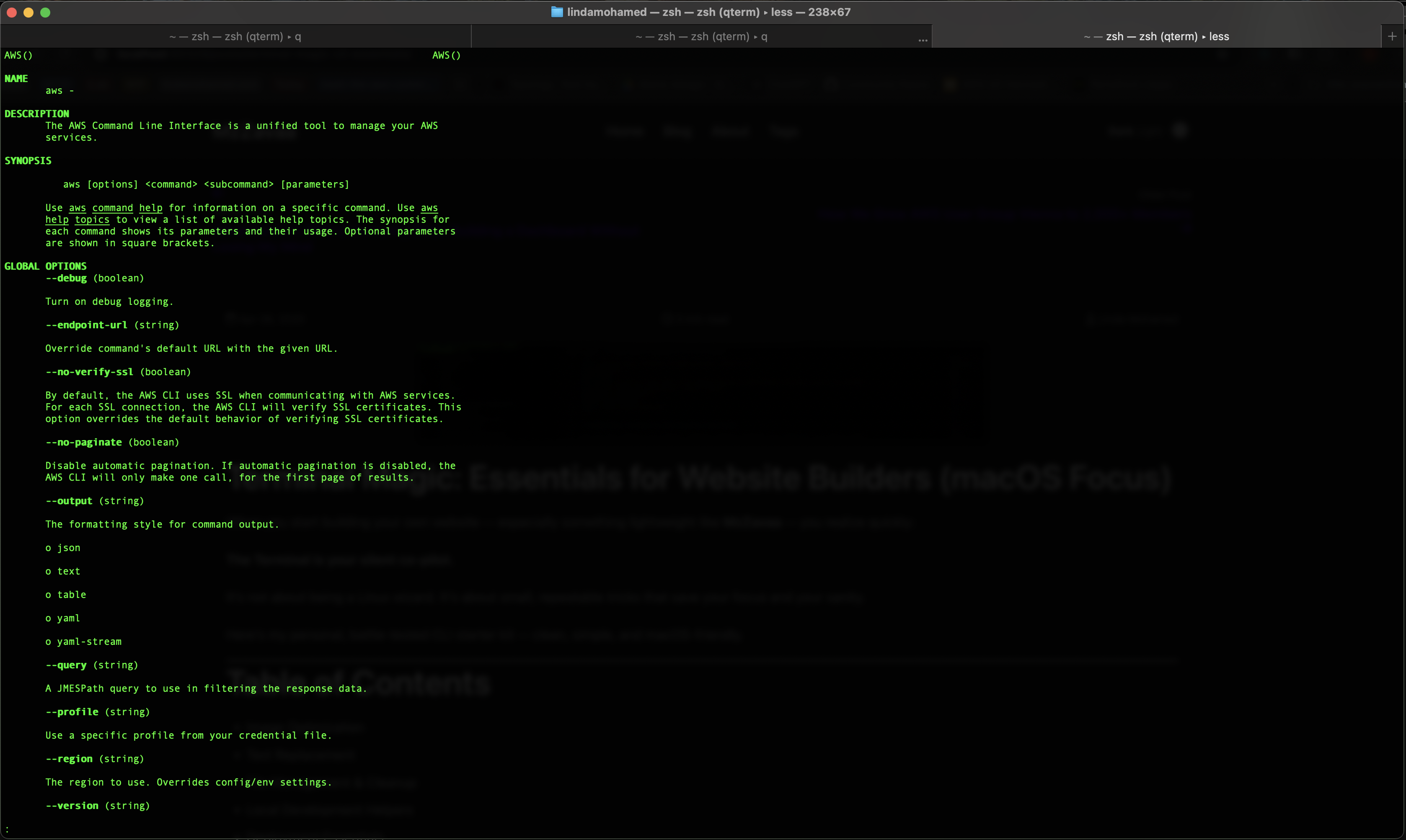 Terminal Magic: Essentials for Website Builders (macOS Focus)
